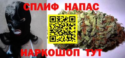 мдпв Новозыбков