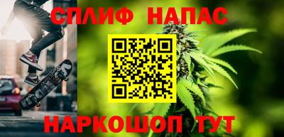амф Новокубанск