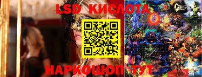 крисы Нальчик