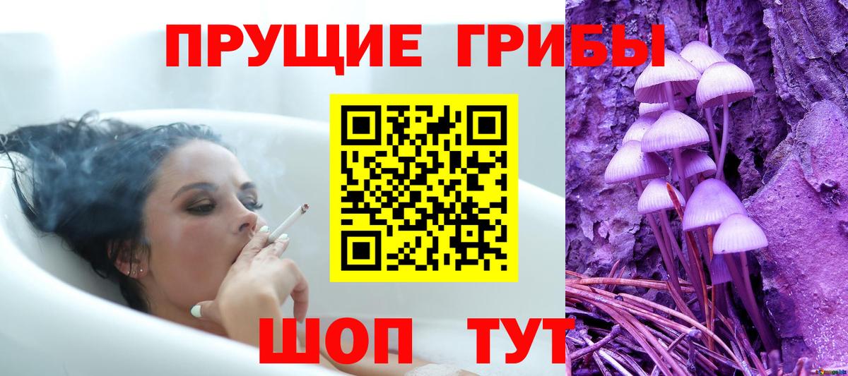 Галлюциногенные грибы Psilocybine cubensis Удомля